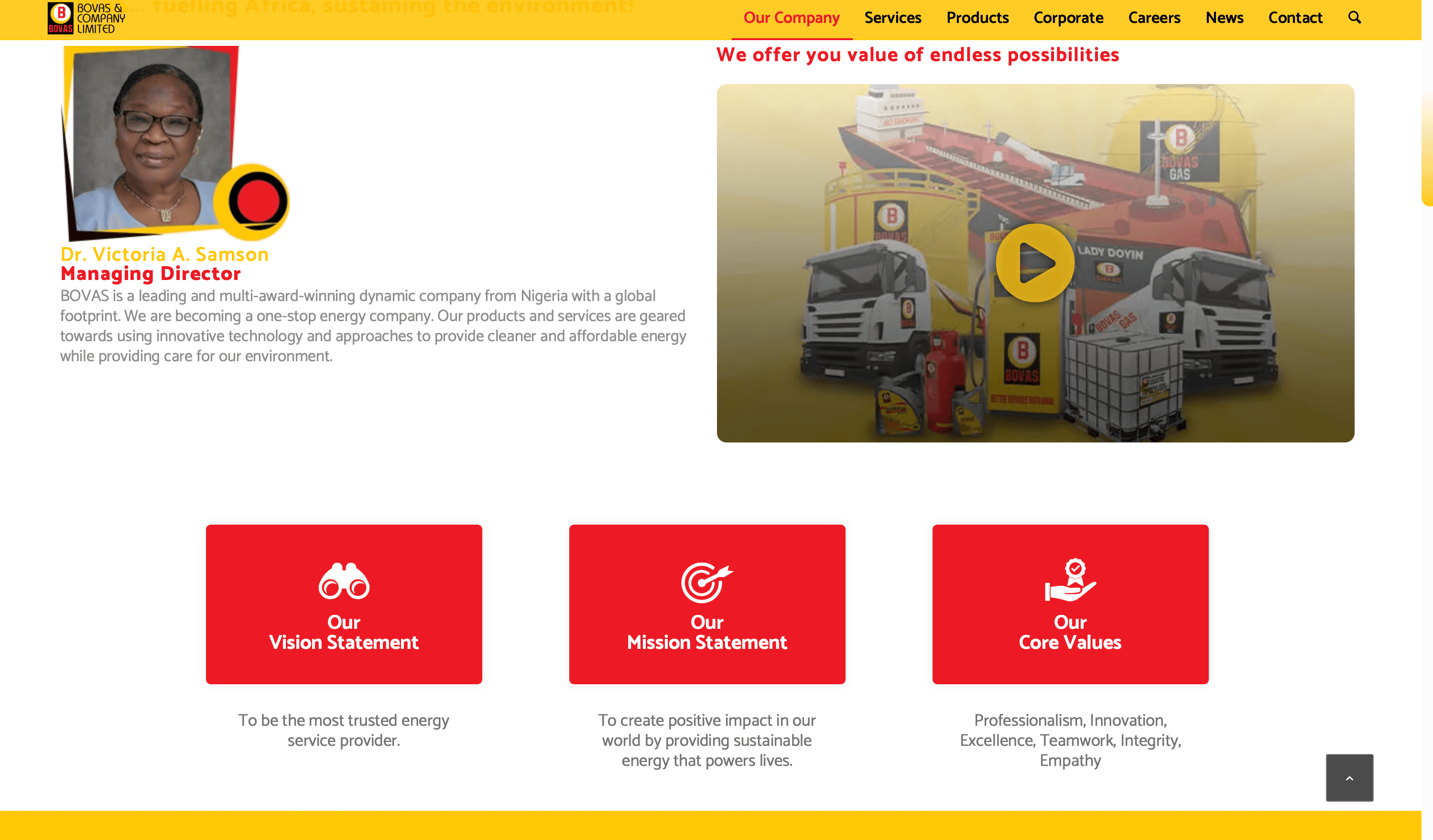 Company Website preview